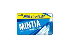 Mintia Mints - Wild & Cool