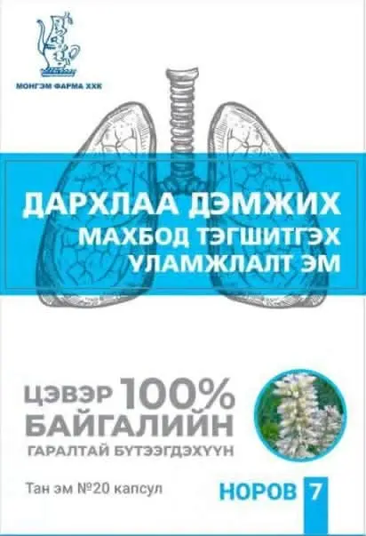 Норов-7 №20 /Монгэм/