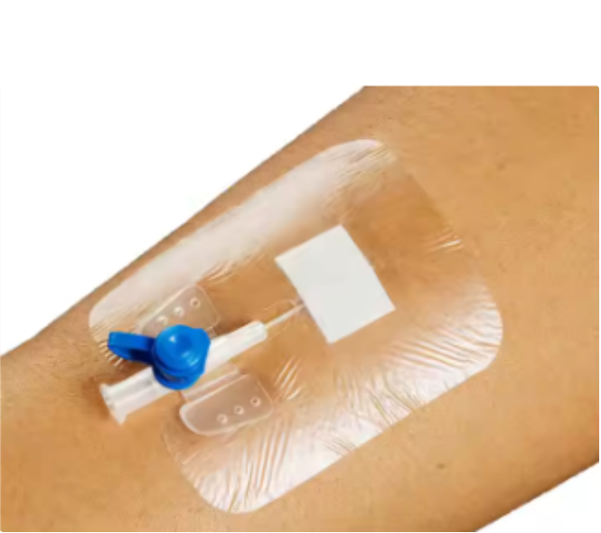 Уян зүүний наалт №1 6*7